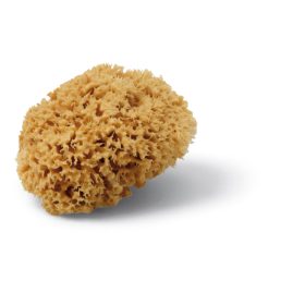 Magic Sponge 12cm tengeri szivacs